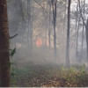 burnt rubber garden in Bandarban burnt rubber garden