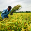 Bangladesh is among the 5 fastest economies in the world  Bangladesh is among the 5 fastest economies in the world