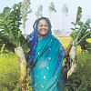 Organic Foods in Bangladesh Organic Foods in Bangladesh