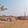 Trees felled to feed brick kiln Unscrupulous traders cut down, chambol, rain trees for use as fuel on Manpura island