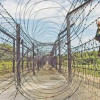 Benapole border