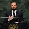 Leonardo DiCaprio