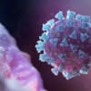 coronavirus covid 19 coronavirus covid 19