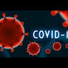 covid-19 covid-19