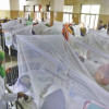 Shaheed Suhrawardy Medical College Opens Dengue Wards Shaheed Suhrawardy Medical College Opens Dengue Wards