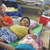 World’s most dangerous creature Dengue Fever World’s most dangerous creature Dengue Fever