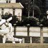 Trevor Barber