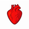 Bangladesh at high risk of heart diseases: Report