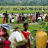 Rohingya refugees walk through rice fields after crossing the border  Rohingya refugees walk through rice fields after crossing the border