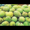 Mangoes Mangoes