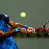 Gael Monfils