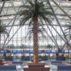 Muscat International Airport Muscat International Airport