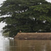 Myanmar-floods.jpg