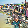 OIC to form a body for Rohingya crisis OIC to form a body for Rohingya crisis