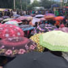 Protest for Safe Roads in Bangladesh Protest for Safe Roads in Bangladesh