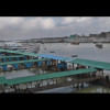 Dhaka Sadarghat Launches Collision Dhaka Sadarghat Launches Collision