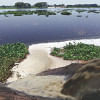 Water Pollution in Dhaleshwari River Water Pollution in Dhaleshwari River
