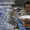 save-hilsa