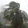 Hailstorm kills several thousand birds in Narail Hailstorm kills several thousand birds in Narail