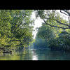 Sundarbans Sundarbans