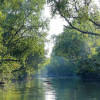 Ban on tourism in Sundarbans Ban on tourism in Sundarbans