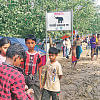 animal movement in Cox’s Bazar animal movement in Cox’s Bazar