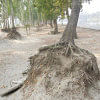 Largest irrigation project under threat WDB must act against sand,earth  lifters