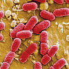 Unchecked infections: When hospitals turn deadly Bangladesh health sector
