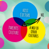 A venn diagram depicting third culture kids