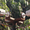 EC considering CCTV cameras at polling stations EC considering CCTV cameras