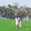 Fertiliser Supply crisis: Govt to buy MOP fertiliser from Canada Fertiliser Supply crisis