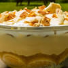 Jemma’s award-winning Lemon Swiss Roll and Amaretti Trifle   The Platinum Pudding Competition is one of the celebrations to mark the Platinum Jubilee of Queen Elizabeth II.