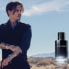 Top 5 Perfumes for Men Top 5 Perfumes for Men