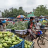 Finding quality mangoes in Dhaka Finding quality mangoes in Dhaka