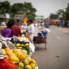 Sights and sounds of Chapai Nawabganj: the mango capital of Bangladesh Sights and sounds of Chapai Nawabganj: the mango capital of Bangladesh