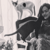A girl with her pet cats. A girl with her pet cats.