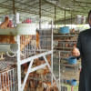 Farming in Bangladesh: An indomitable farmer  Farming in Bangladesh: An indomitable farmer