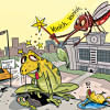 Where have all the frogs gone mosquito borne diseases