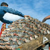 Traders apply to export Hilsa to India ahead of Durga Puja Hilsa export to India ahead of Durga Puja