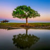Top 5 must-see places to visit in Kishoreganj  Top 5 must-see places to visit in Kishoreganj