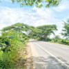 Bhanga-Jashore-Benapole Highway: Implementation costs jump sharply  Bhanga-Jashore-Benapole Highway