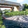 Water Pollution Water Pollution