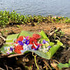 Flowers being offered to the river on the day of Ful Biju