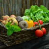 Why organic is the way to go Why organic is the way to go