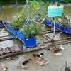 Floating gardens Floating gardens