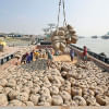 Wheat flour prices abnormally high in Bangladesh: FAO Wheat flour prices