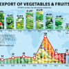 Vegetable exports dip to 6-year low Vegetable exports dip