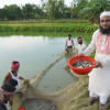 Fish farm Fish farm