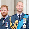 Harry accuses Prince William of screaming at him Harry accuses Prince William of screaming at him