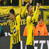 Haller Haller